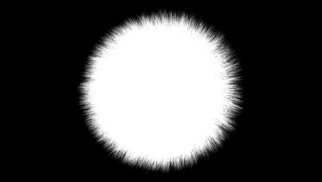 the turning fluffy ball. 4k resolution. looping. alpha channel.