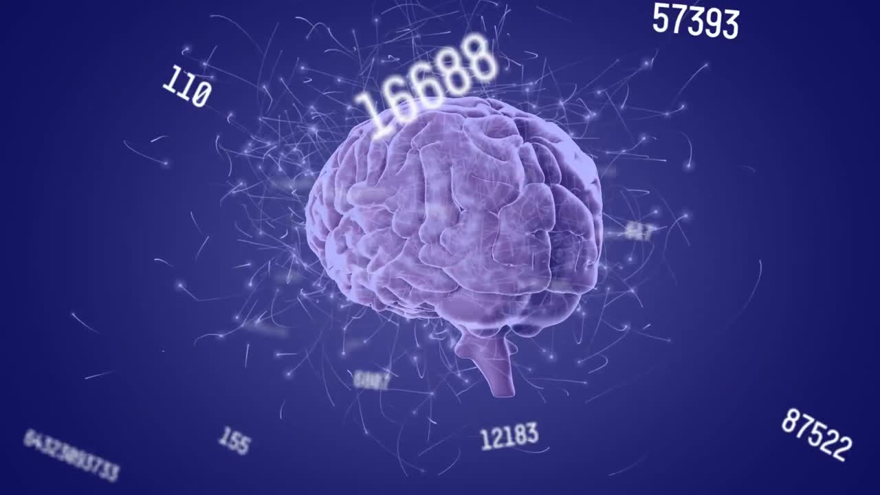 animación de números cambiando sobre el giro del cerebro humano púrpura