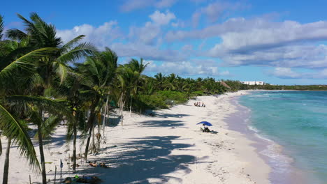 aerial landscape of beautiful white sand beach lined with rows of coconut palm trees on tropical sunny day at xpu ha in mexico