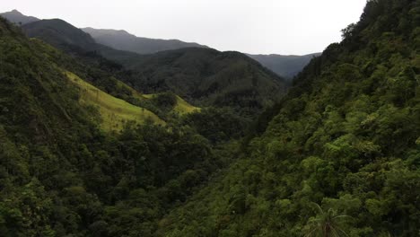 tiro de drone volando rápidamente sobre el valle de cocora en quindío, colombia