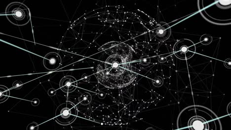 Animation of networks of connections