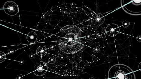 animation of networks of connections