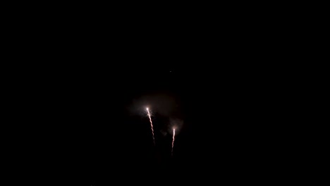 una explosión radiante de fuegos artificiales ilumina el cielo nocturno como parte de la celebración del 4 de julio - toma estática