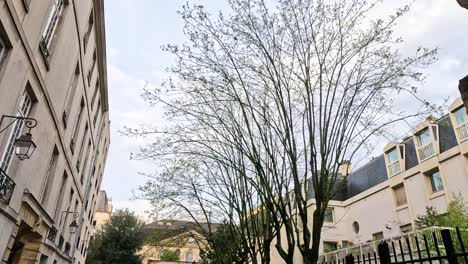 people walking in a serene city park setting