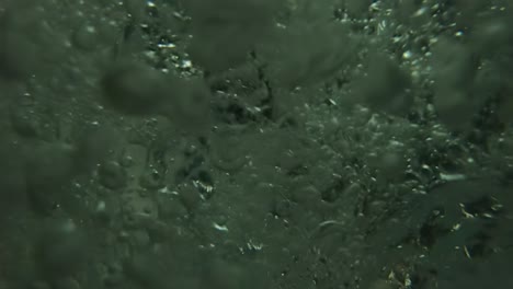 аir bubbles floating from the bottom to the surface of the water, slow motion