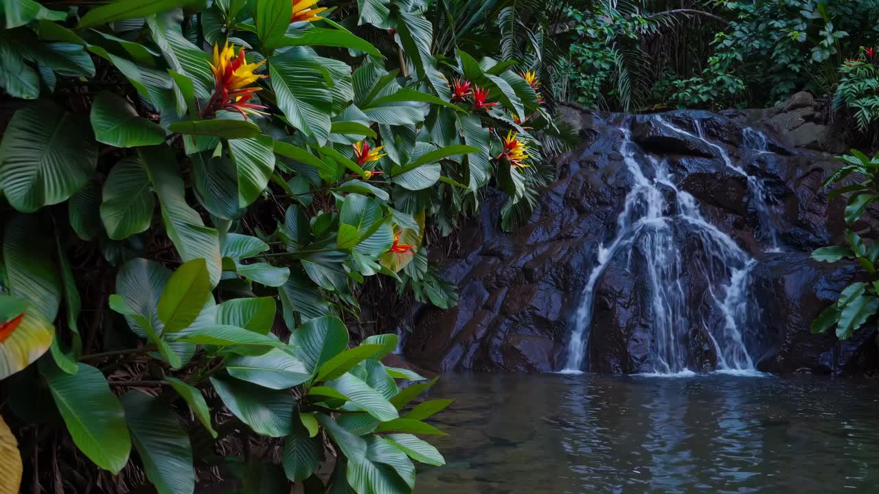 Lush tropical waterfall scene with vibrant flowers, captured from a low angle