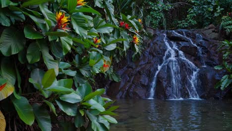 lush tropical waterfall scene with vibrant flowers, captured from a low angle