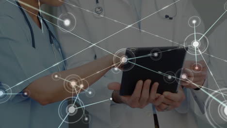 animation of network of connections over diverse doctors using tablet