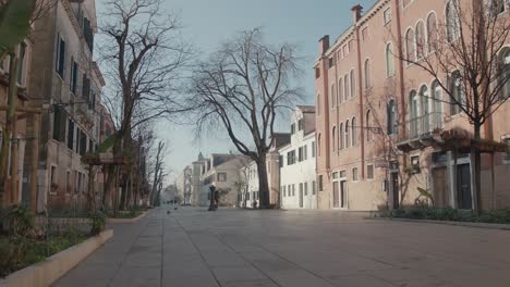 sunny venetian boulevard with leafless trees, italy