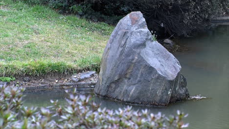 an ornamental stone stands in the pond of a japanese garden