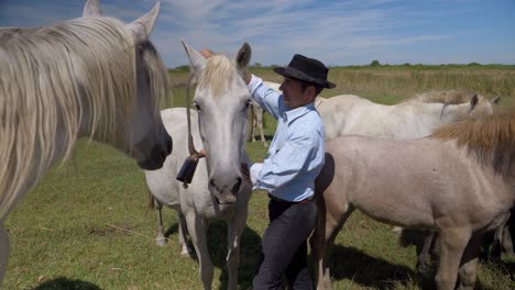 Cowboy-man-putting-a-foal-band-on-to-the-horse-for-preparation