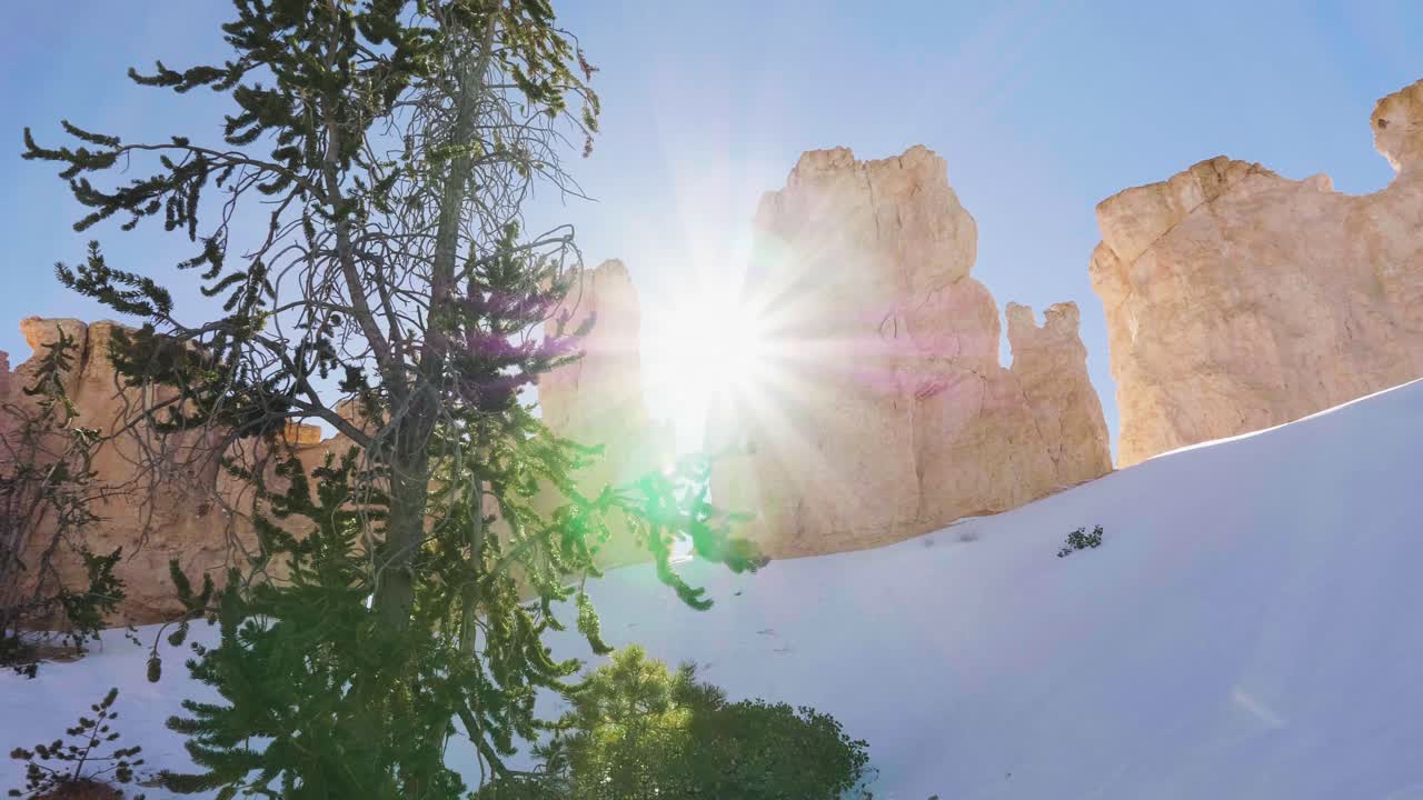 나무와 햇빛이 있는 브라이스 캐년에 눈이 있는 주황색 바위