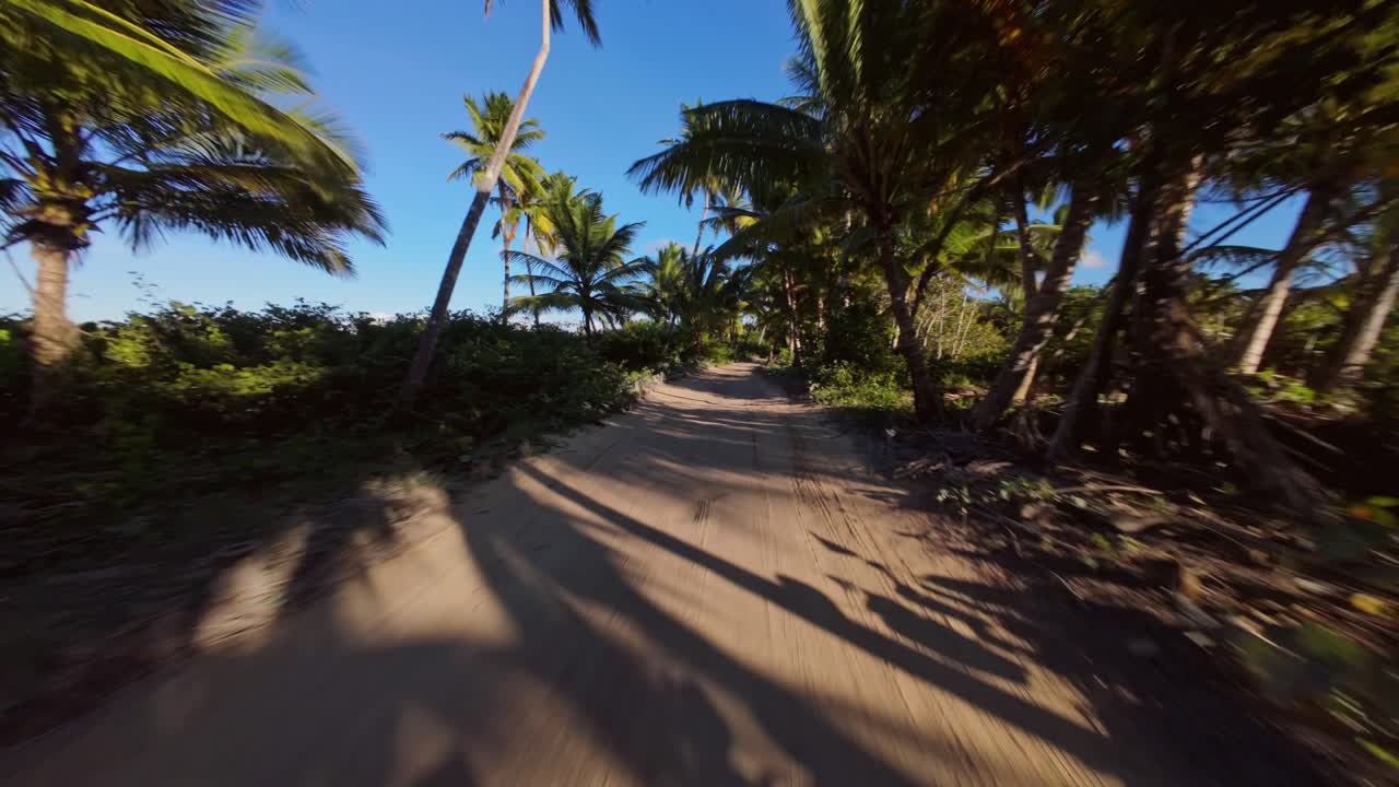 Drone shot over Rincon beach sandy road In Las Galeras, Samana, Dominican Republic with palm trees
