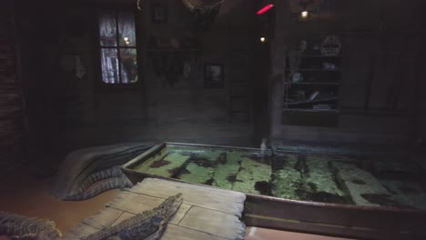 alligators in an aquuarium enjoy a day