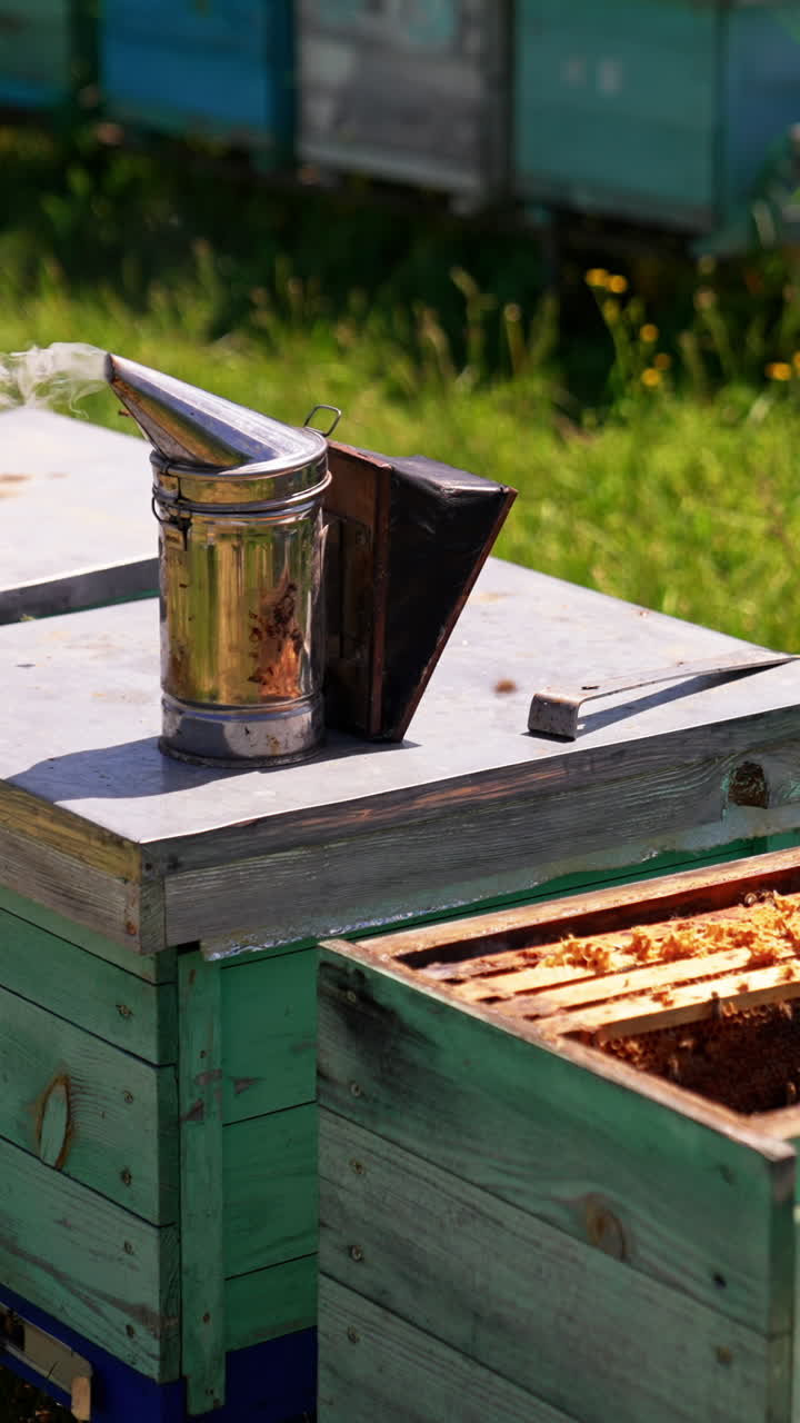 Metal smoker device for making bees less active on the beehive. Apiary tool emitting smoke. Opened hive with honey frames. Vertical video