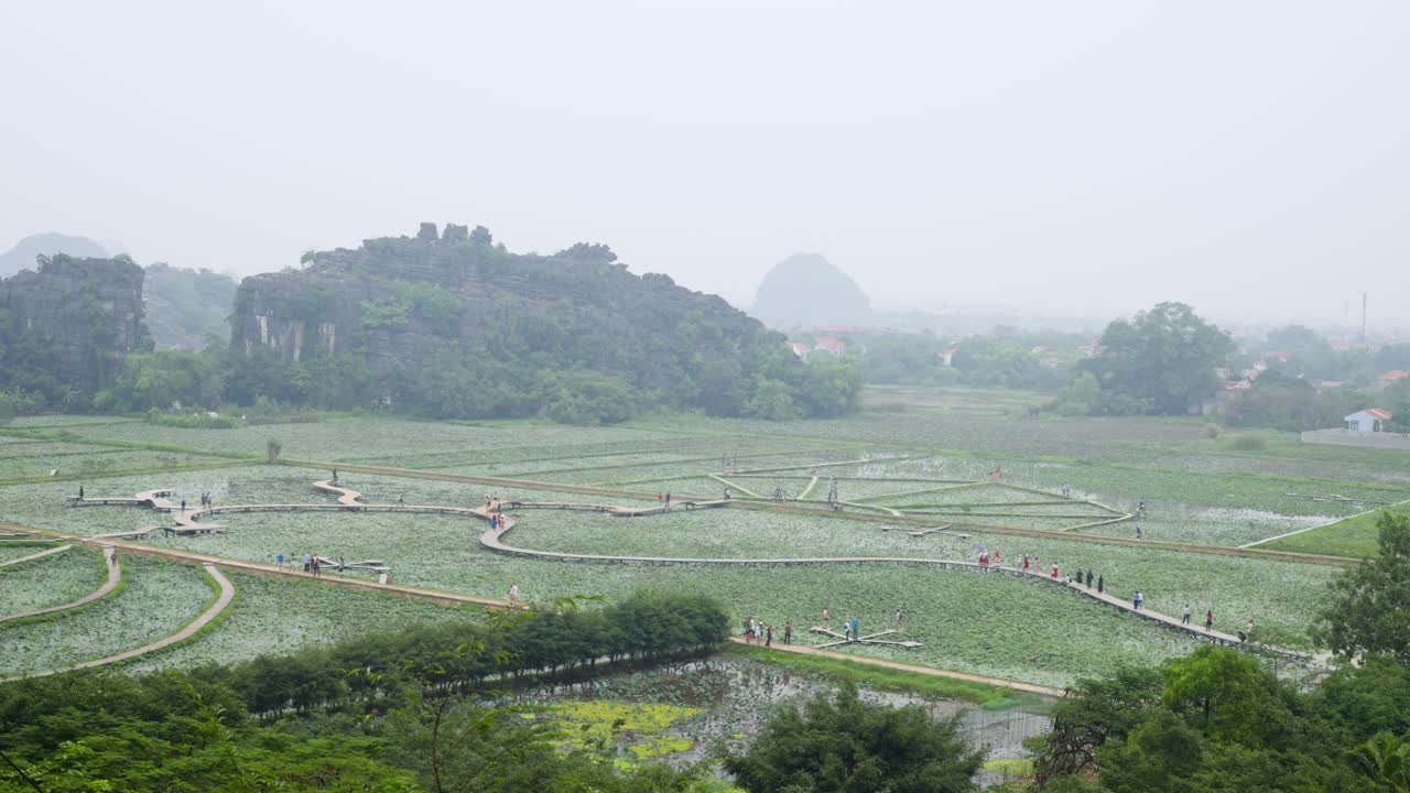 Visitors traverse winding pathways through a serene lotus pond at Hang Mua in Ninh Binh, Vietnam beneath dramatic limestone karsts in the misty distance - aerial view