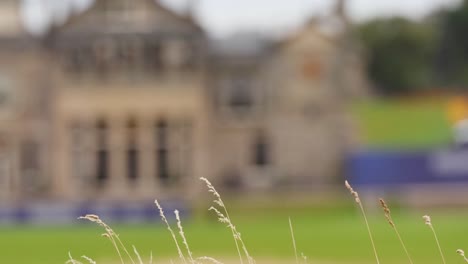 a blurred view of a historic building with tall grass in the foreground, capturing a serene outdoor scene.