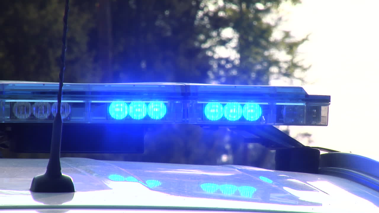 intermitente de sirena azul en el coche de policía
