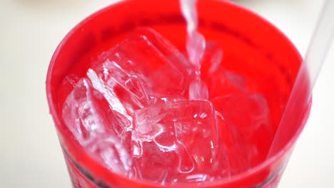 red plastic cup with ice and water