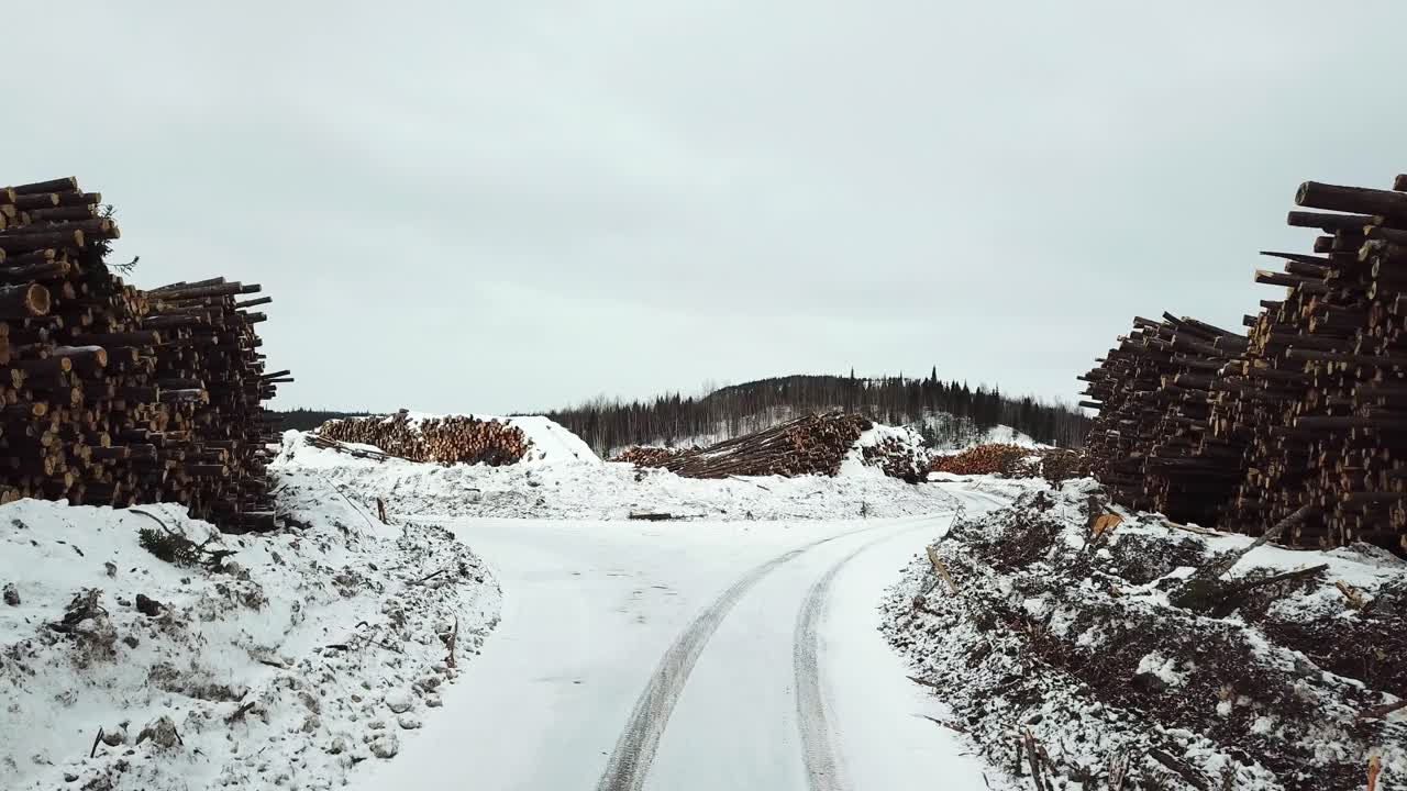 Drone flying through rows of piled logs of pine in Chibougamau, northern Quebec, Canada