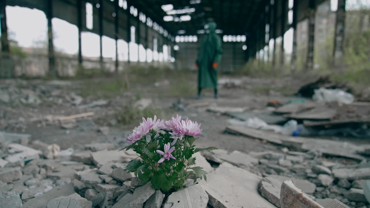 Beautiful flowers grow in abandoned place. Bunch of flowers in stones on the background of a man in protective suit in ruined place. Environment in danger.