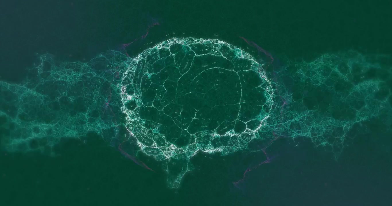 Animation of circles and shapes on black background