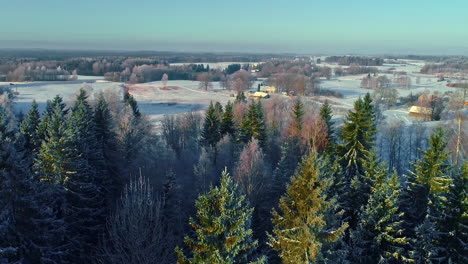 aerial view,snow-draped winterland with coniferous trees offering serene beauty