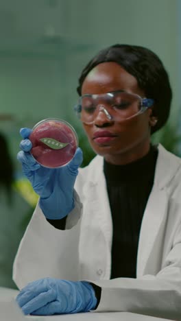 scientist examining vegan meat in a lab petri dish
