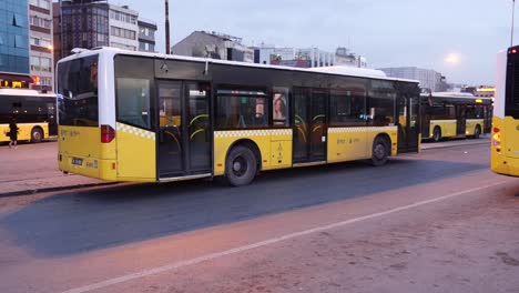 yellow buses in a city