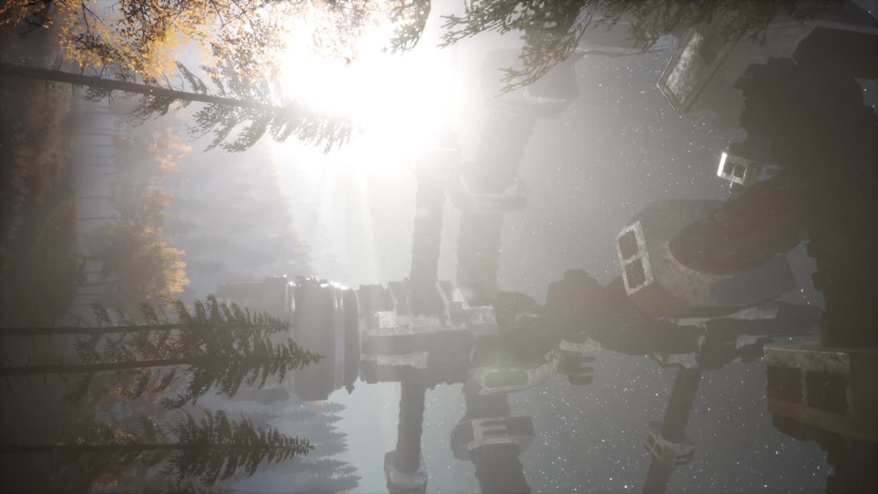 밤에 빛의  ⁇ 으로 숲 위를 떠다니는 ufo