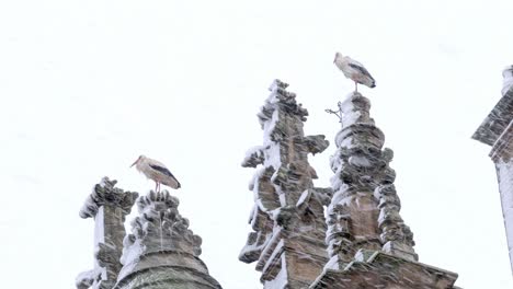 cigüeñas de pie en la parte superior de una catedral en un día de invierno nevado