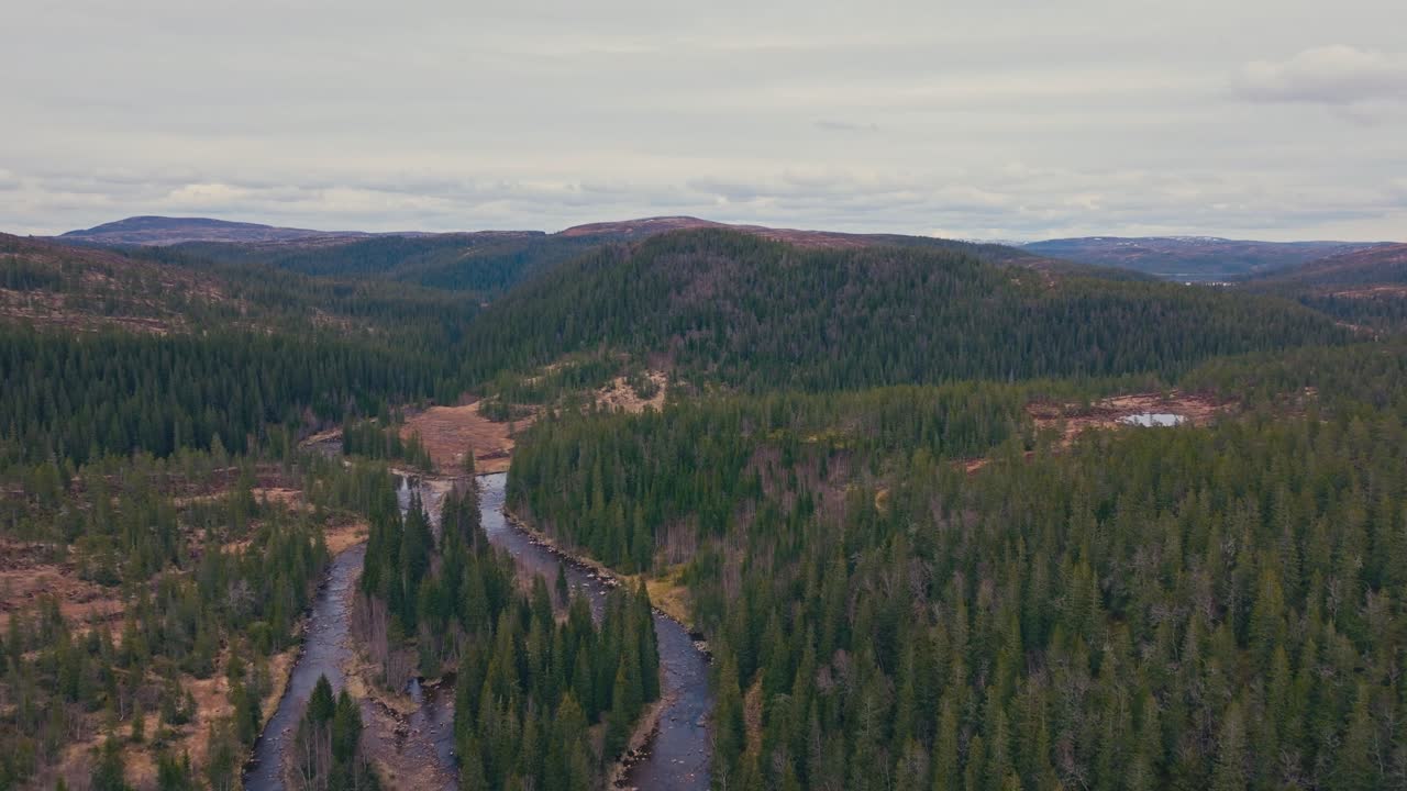 Stream Flowing Through Conifer Trees With Mountain Backdrop In Norway. Aerial Drone Shot