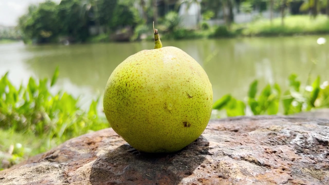 Pera verde fresca appoggiata su una roccia in riva al lago.