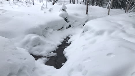 pequeño estanque en tierra de invierno