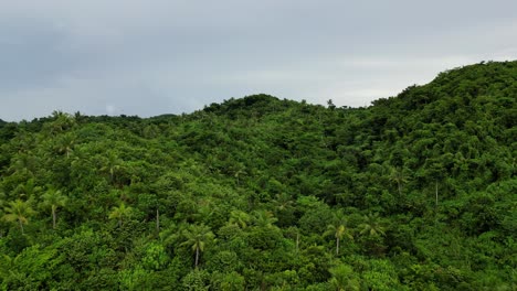 Toma-Aérea-De-La-Hermosa-Selva-Profunda-En-La-Isla-Catanduanes,-Filipinas