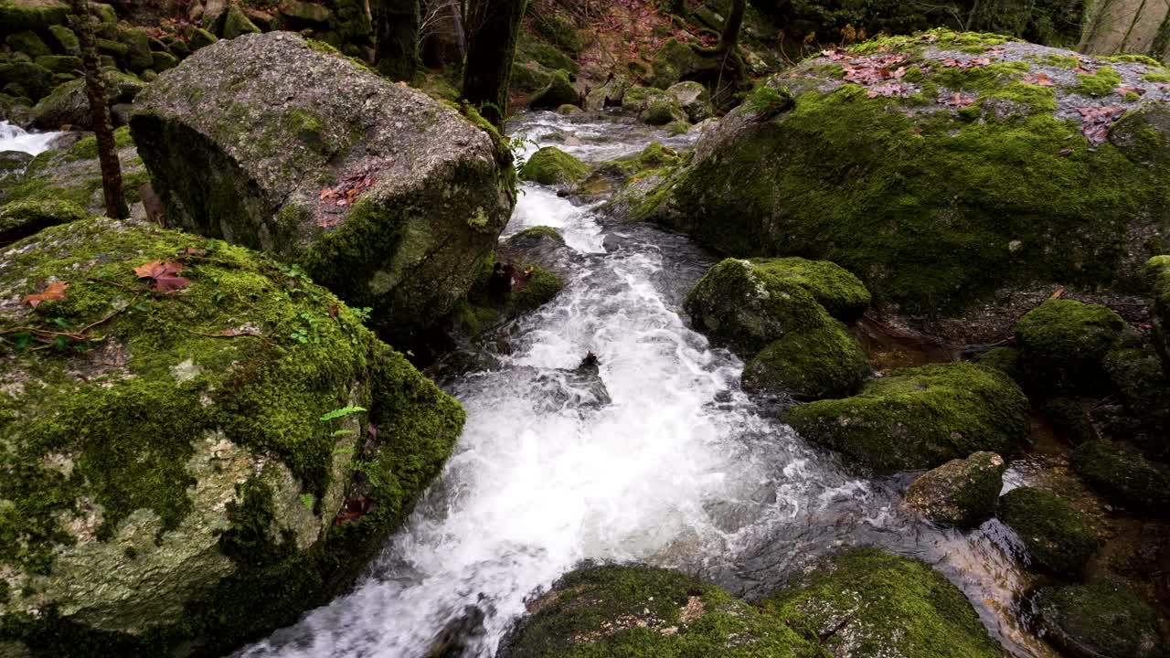 Foaming stream rushes over verdant mossy rocks