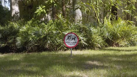 please pick up the waste that your pet throws on the grass, take it nearby, sunny day