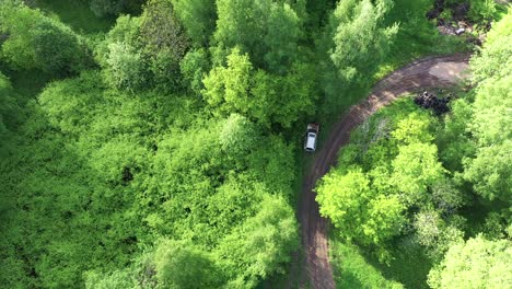 race car crashes in trees, aerial top down view