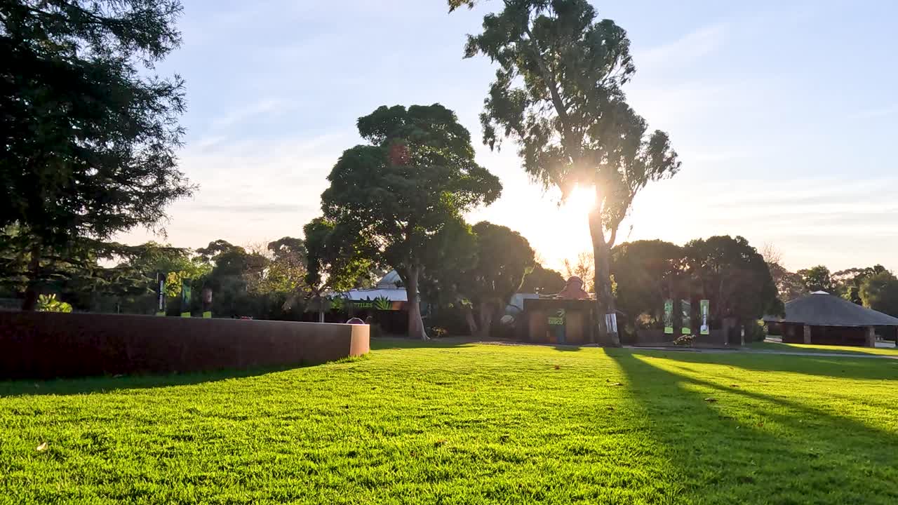 Sunset casting shadows over grassy park