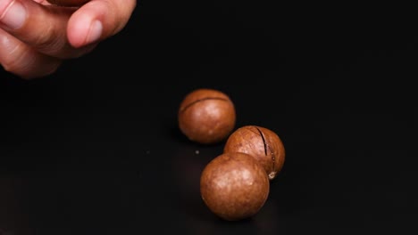 hands selecting and holding macadamia nuts