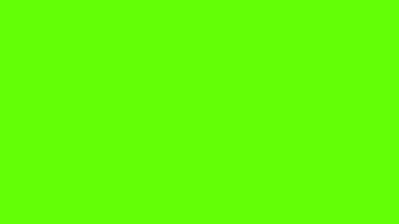 Pipistrelli e uccelli di Halloween, filmato green screen con animazione in loop. Celebrazione della festa di Halloween.