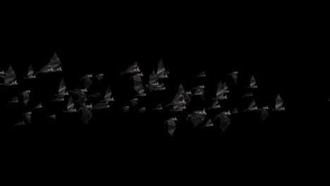 bats halloween birds green screen footage loop animation. halloween party celebration.