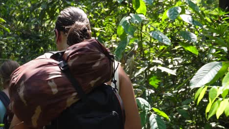 raw footage of a group of people walking in the dense jungle on a sunny day in the area of umphang in north thailand