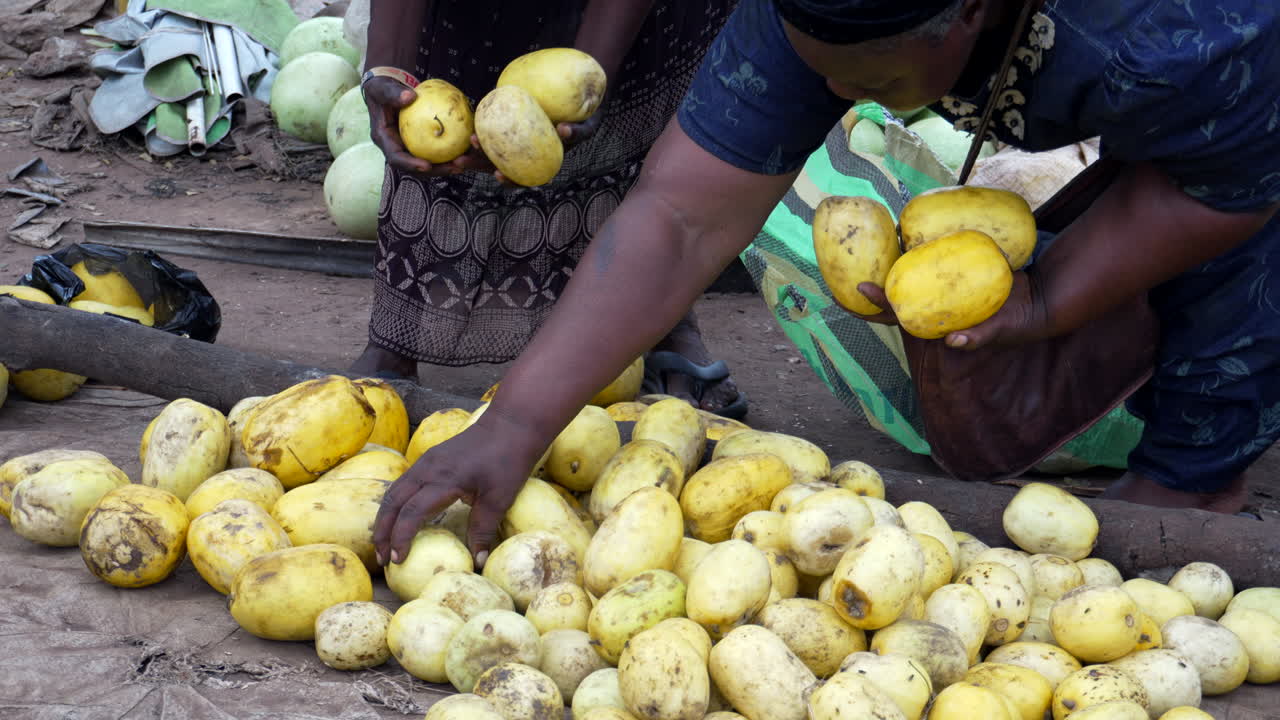 Sorting through passion fruit at a farmers market in Makurdi, Nigeria