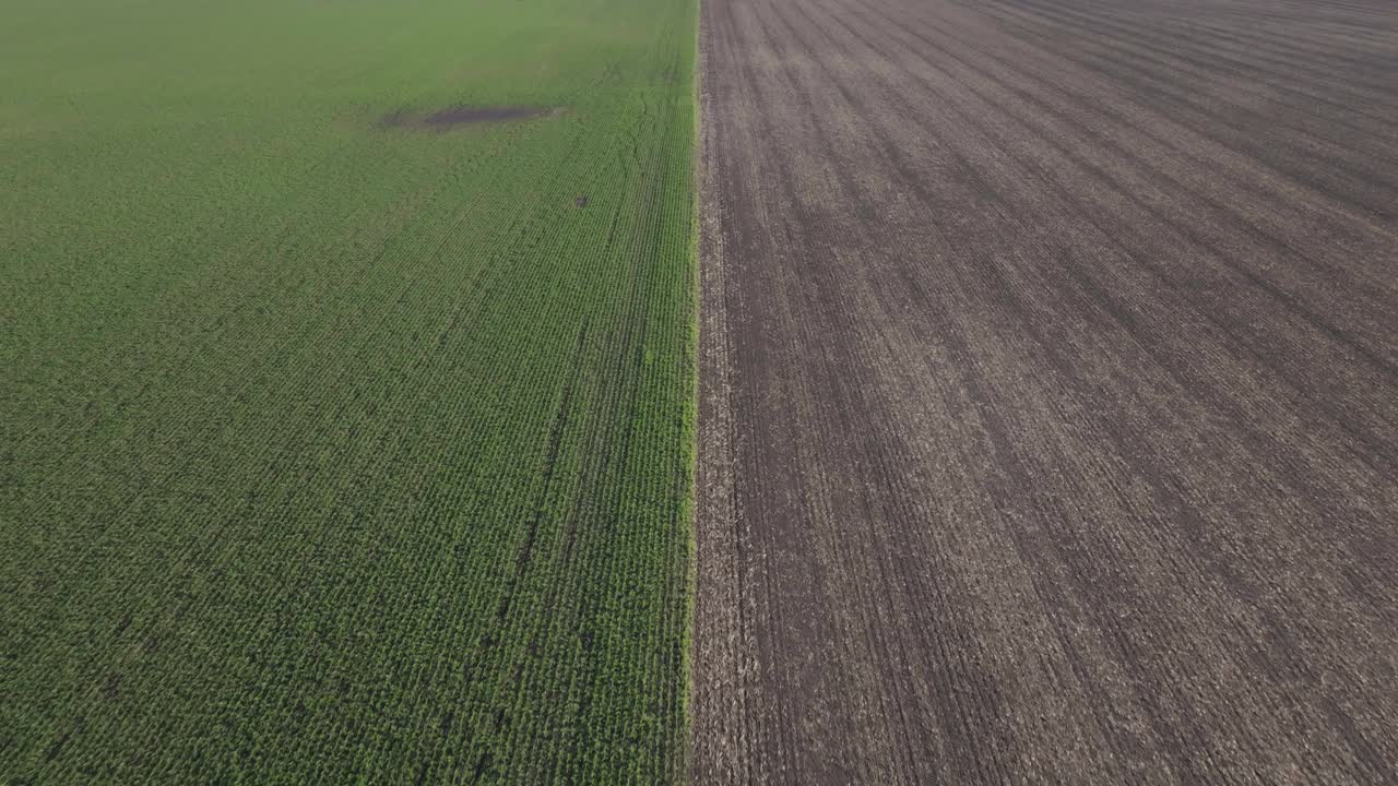 Aerial View of a Farm Field: Green Crops and Brown Soil