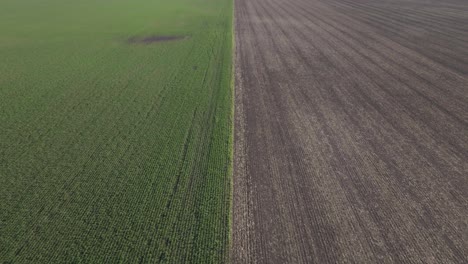 aerial view of a farm field: green crops and brown soil
