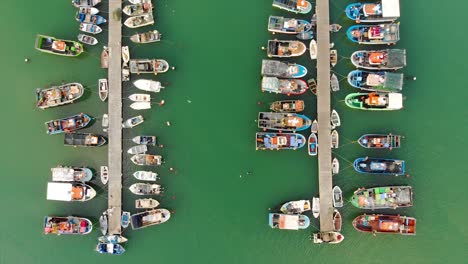 lines of fishings boats moored on a dock in portugal