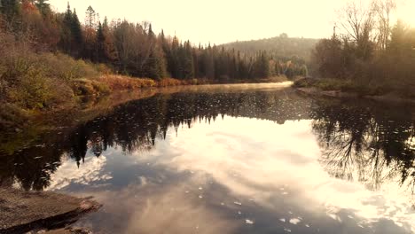 a pure and calm river during a morning golden sun