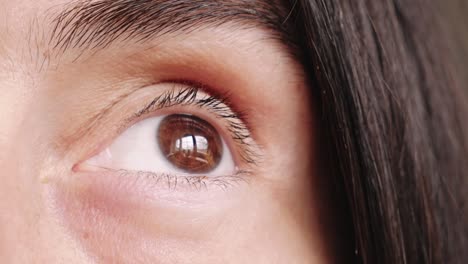 human eye closeup, brown eye with window reflection