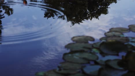 Gotas-De-Agua-Cayendo-En-El-Reflejo-Perfecto-Del-Lago-Creando-Hermosas-Olas-Pequeñas